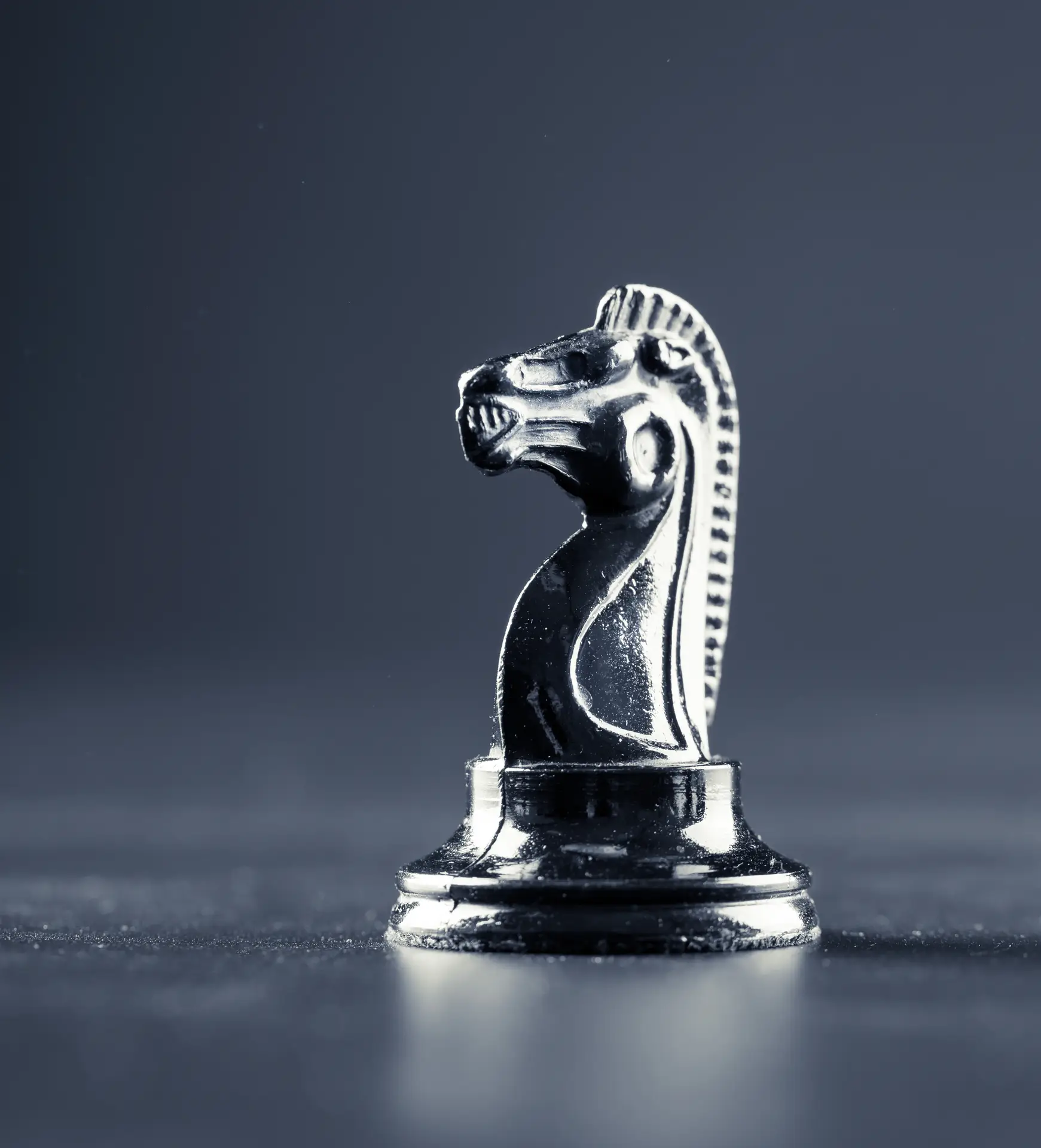 Black chess knight over black